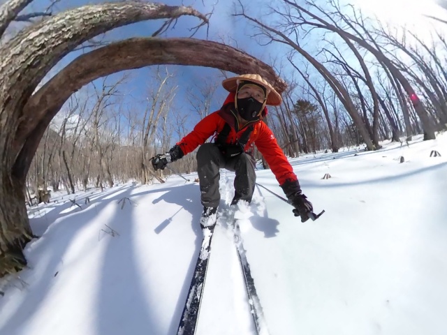 林間滑走は楽しい