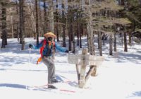 山王峠を滑ってみた