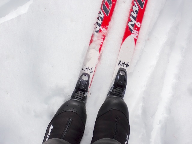 レンタルは靴もスキーもいいやつでした