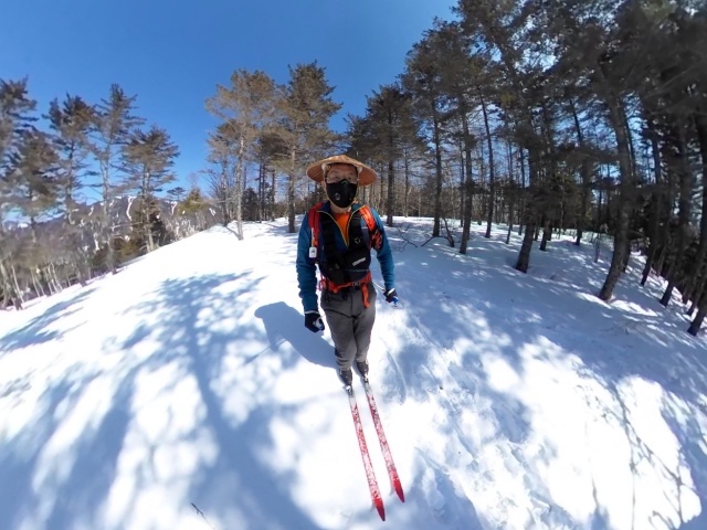 なだらかな尾根道を山王峠に向かいます