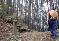 奥武蔵縦走 大野峠で挫折