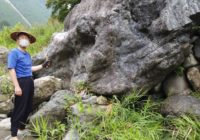 草を刈って取り付きがスッキリ