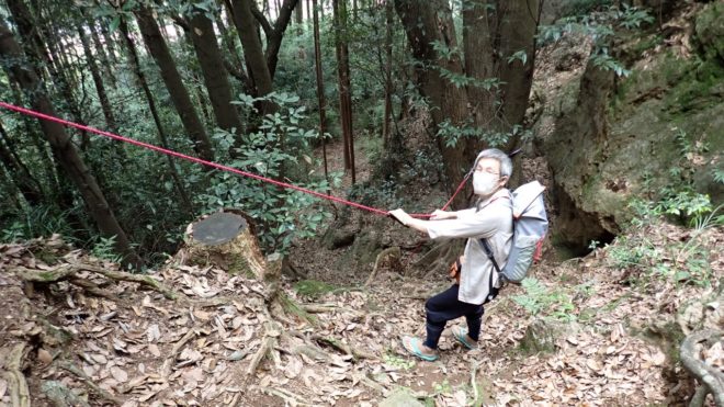 フィックスロープを張ってみた