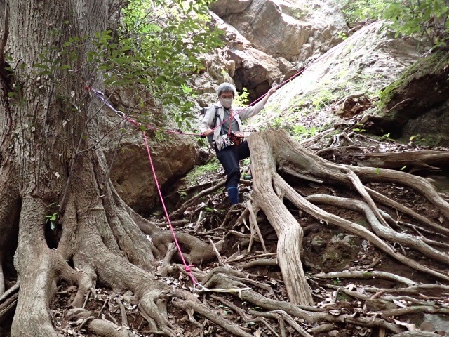 下から見るとこんな感じ。結構悪い