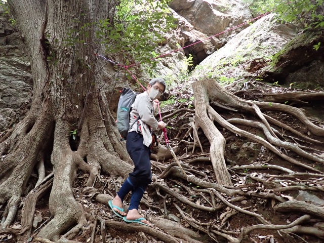 20メートルロープだとギリギリ