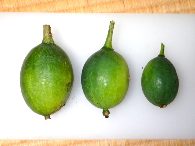 実は硬くてずっしり重い