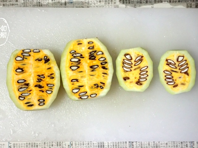 中は果肉と種が詰まっている