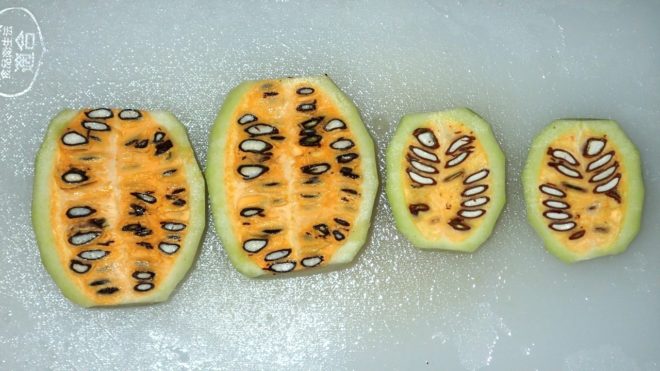 キカラスウリを食べてみた