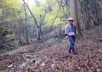 「道」は結構あるもんだ