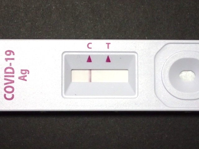 新型コロナウイルスの抗原検査キット。赤線が２本出ると陽性