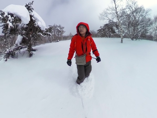 牧場に出てもモコモコの雪は滑らない