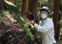 初めての岩場工作は空振り