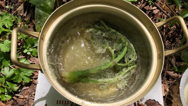 実践！ 天ぷら修行