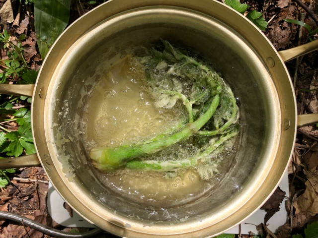 小さい鍋に無理矢理突っ込む