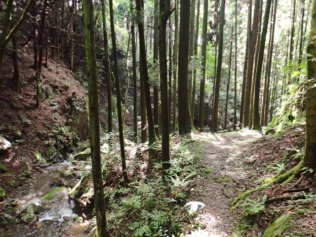 秩父往還の小道