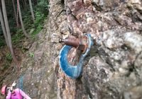 知らぬが仏ということに