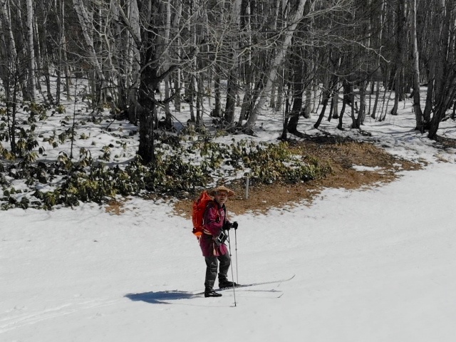 もう2、3日で解けてしまいそう