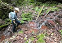 夏でも涼しい「赤い階段」