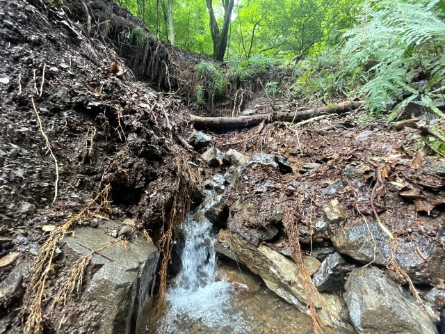 崩壊地から湧き出す本流の水源