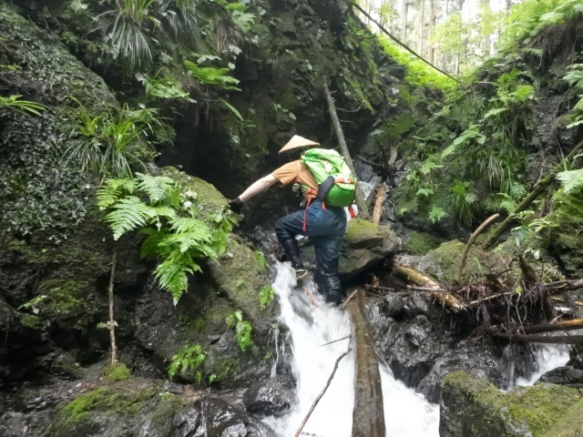 小滝が次々と現れる