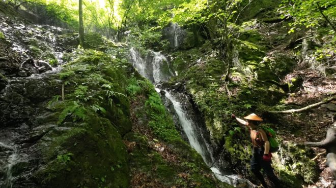 和泉入源流に大滝と龍神碑