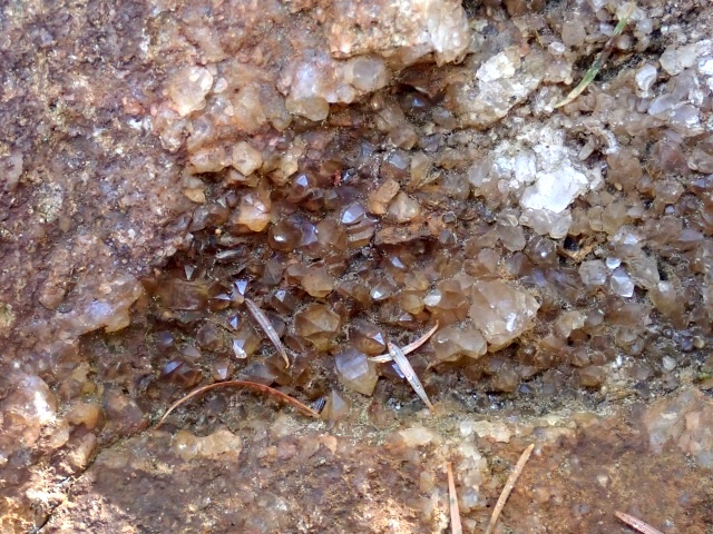 沢の転石を観察