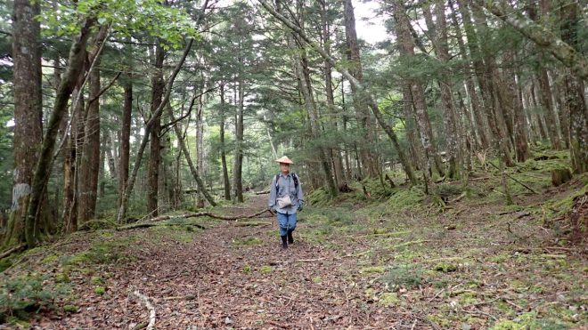 昔の登山バス道をたどった