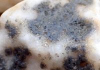 金の歩留まりが上がった