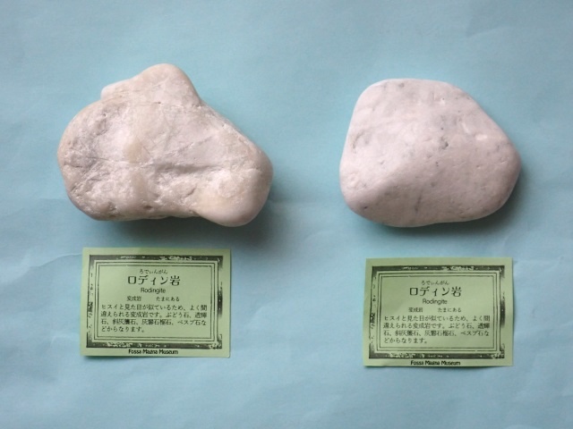 左は静岡の海岸で拾った石、右は勝山海岸の石
