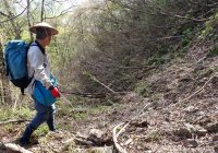 空振りも経験の一部