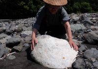 川は外しても海はバッチリ