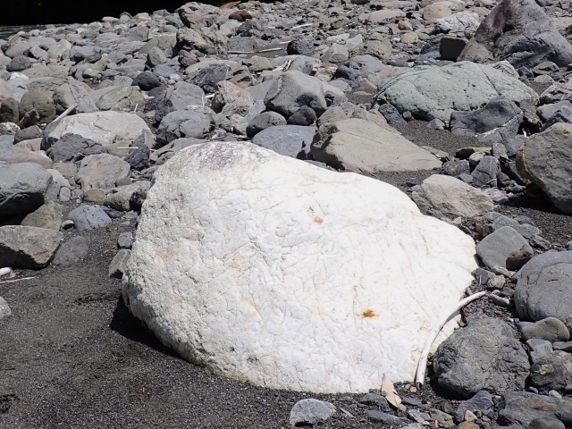 ひすいと思われる石