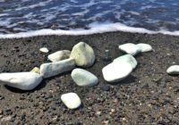 大きくなって帰ってこい