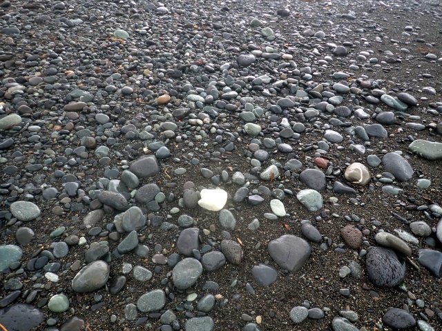 ぬれると白っぽい石が目立つ