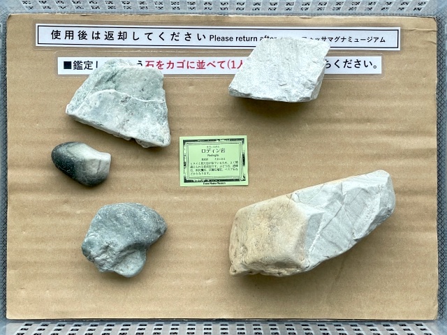 安倍川の石は全てロディン岩と鑑定された