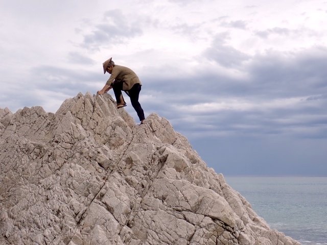 山ヤはすぐ高いところに登りたがる