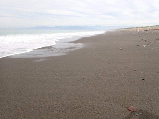 1週間前は石が全て砂に埋まっていた