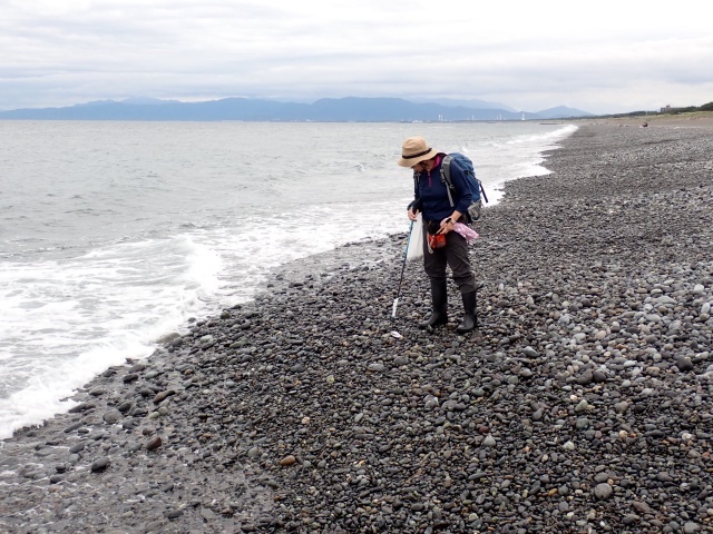 波打ち際には石が戻っていた