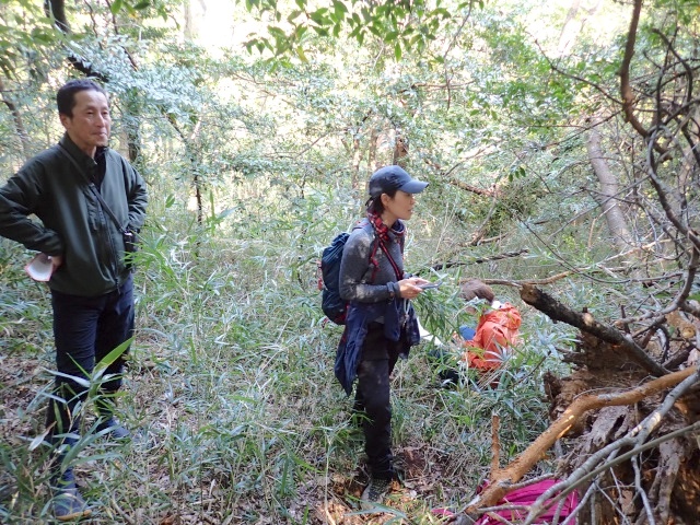 藪の中に潜んでいた「遭難者」を発見！