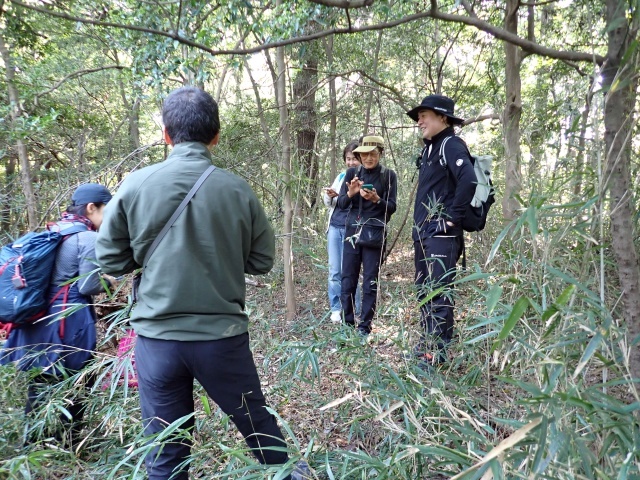 ようやく発見しました