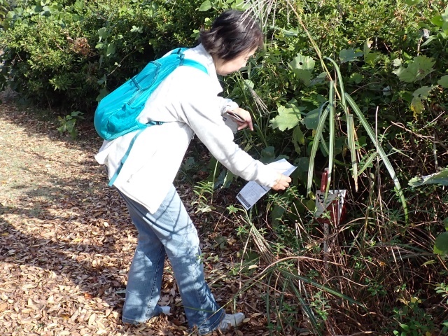 藪の中に隠れているCPも