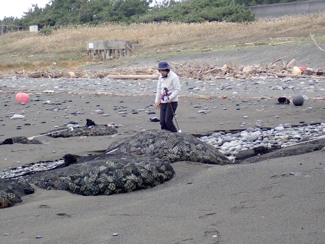 放水路に少しだけ石が出ていた