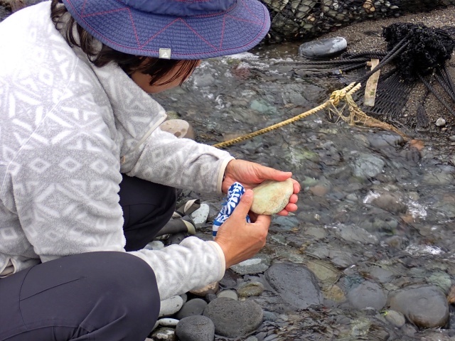 砂を落とし水気を拭き、石の質感を観察する