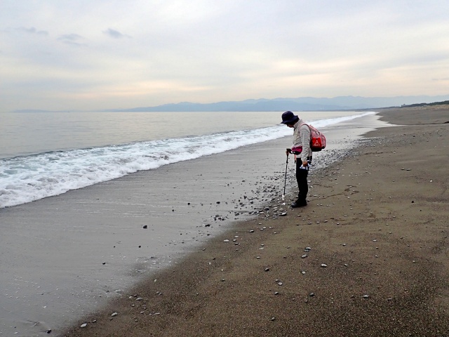 ひすいはなかなか見つからない