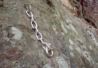 虎の子を放出した