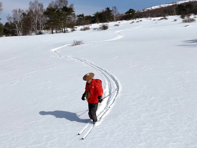 ブッシュはほぼ埋まって雪山らしくなっていた
