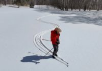 ちょっとだけパウダー