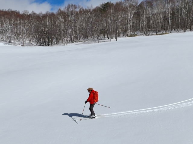 オープンバーンを気分よく進む
