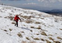 ササ原でスキーをした