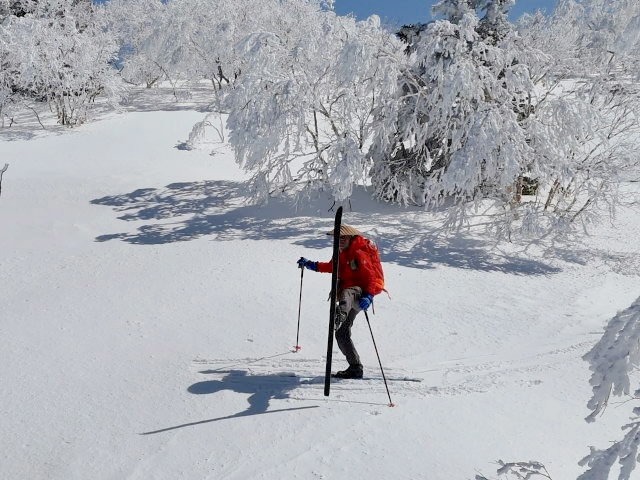 頂上直下から滑降開始
